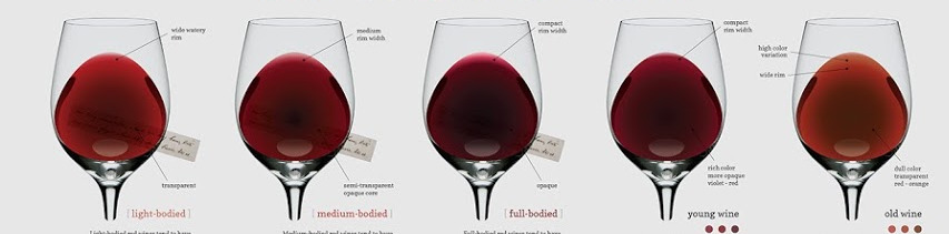 wine-color-chart1-1