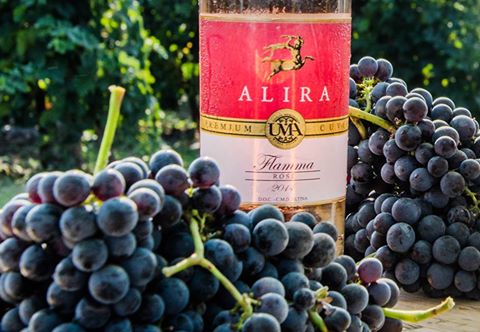 Wino Alira Famma Rose